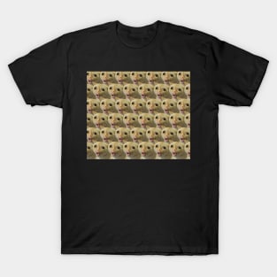 Cat Coughing Like A Kid Meme Pattern T-Shirt